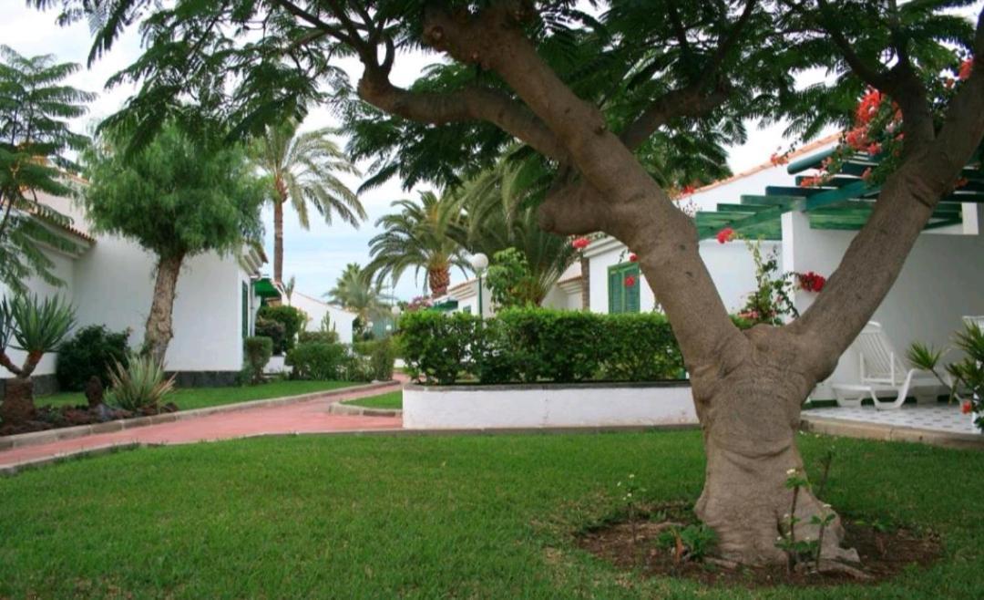 Maspalomas Dunas Golf Kültér fotó